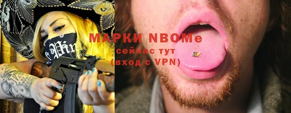 шишки Абаза