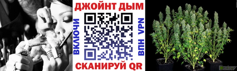 ОМГ ОМГ маркетплейс  Дрезна  Каннабис индика  как найти наркотики 